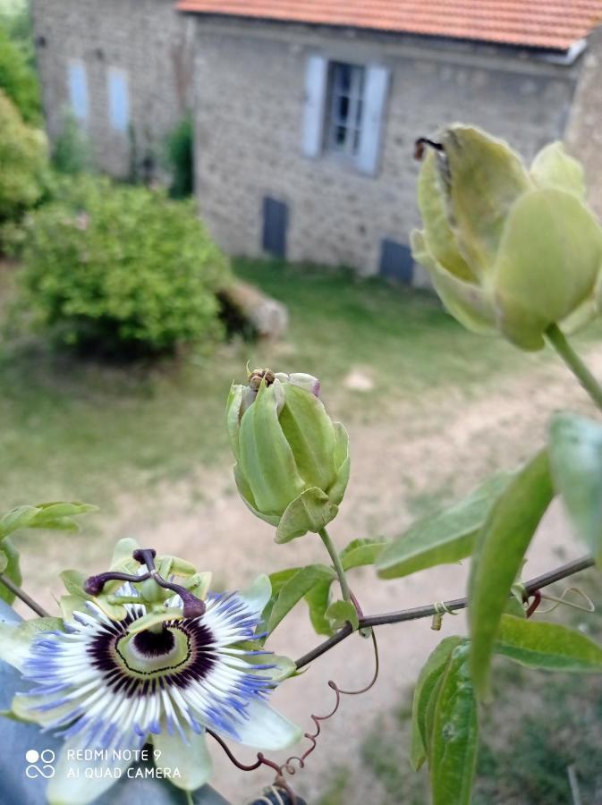 Вилла Ferme De Fenivou Boulieu-les-Annonay Экстерьер фото