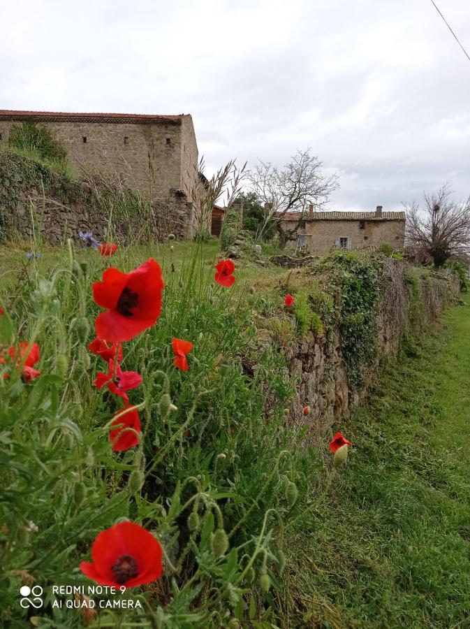 Вилла Ferme De Fenivou Boulieu-les-Annonay Экстерьер фото